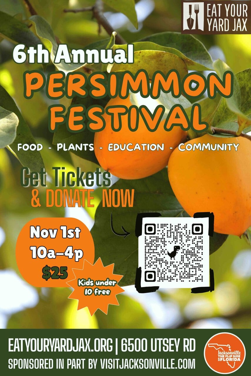 6th Annual Persimmon Festival poster with oranges and QR code.